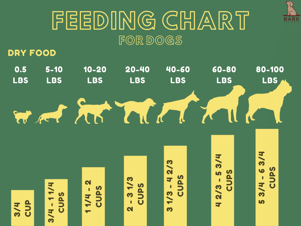How many cups of food should I feed to my dog