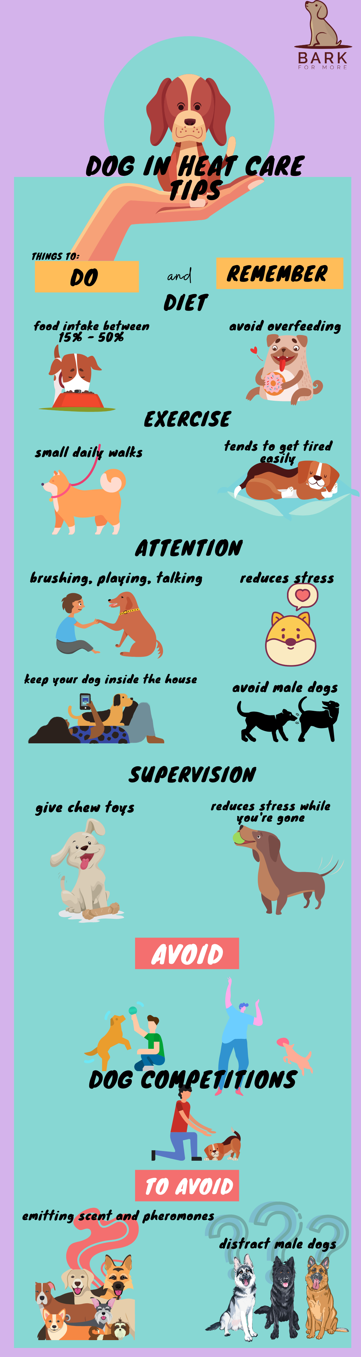 Dog Heat Care Tips - Bark For More