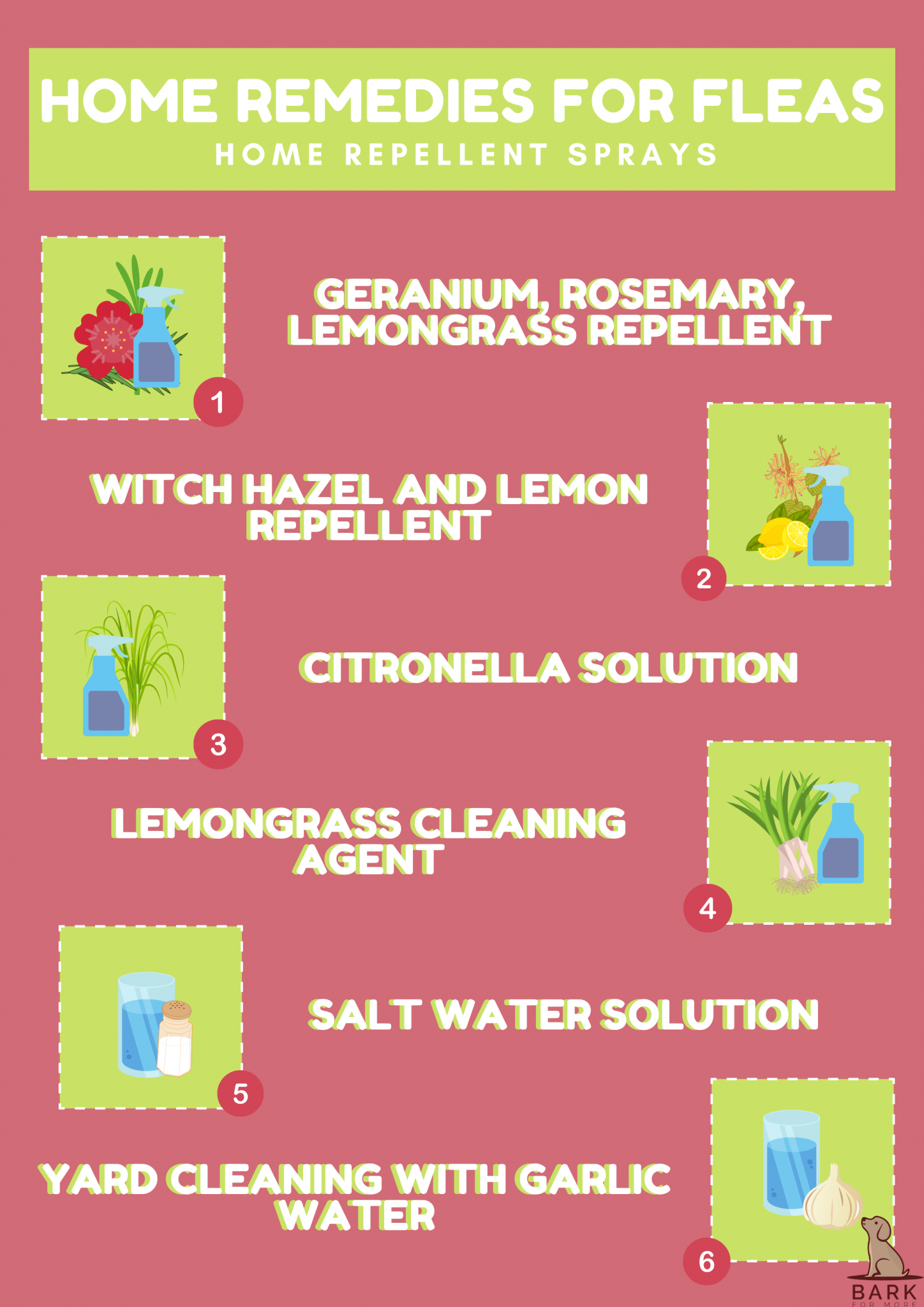 The Ultimate Guide To The 51 Best Home Remedies For Fleas In Dogs