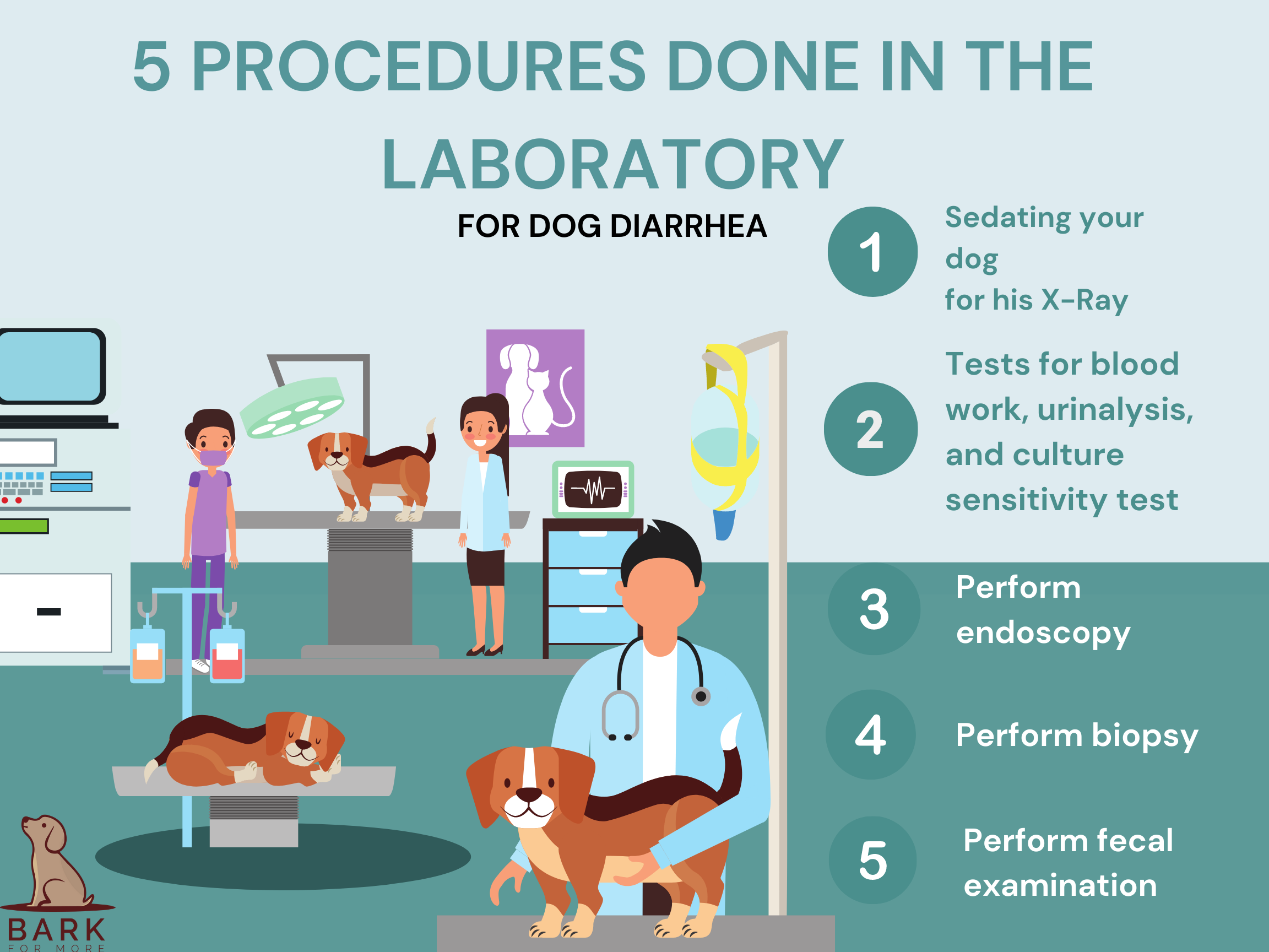 5 PROCEDURES DONE IN THE LABORATORY BARK FOR MORE