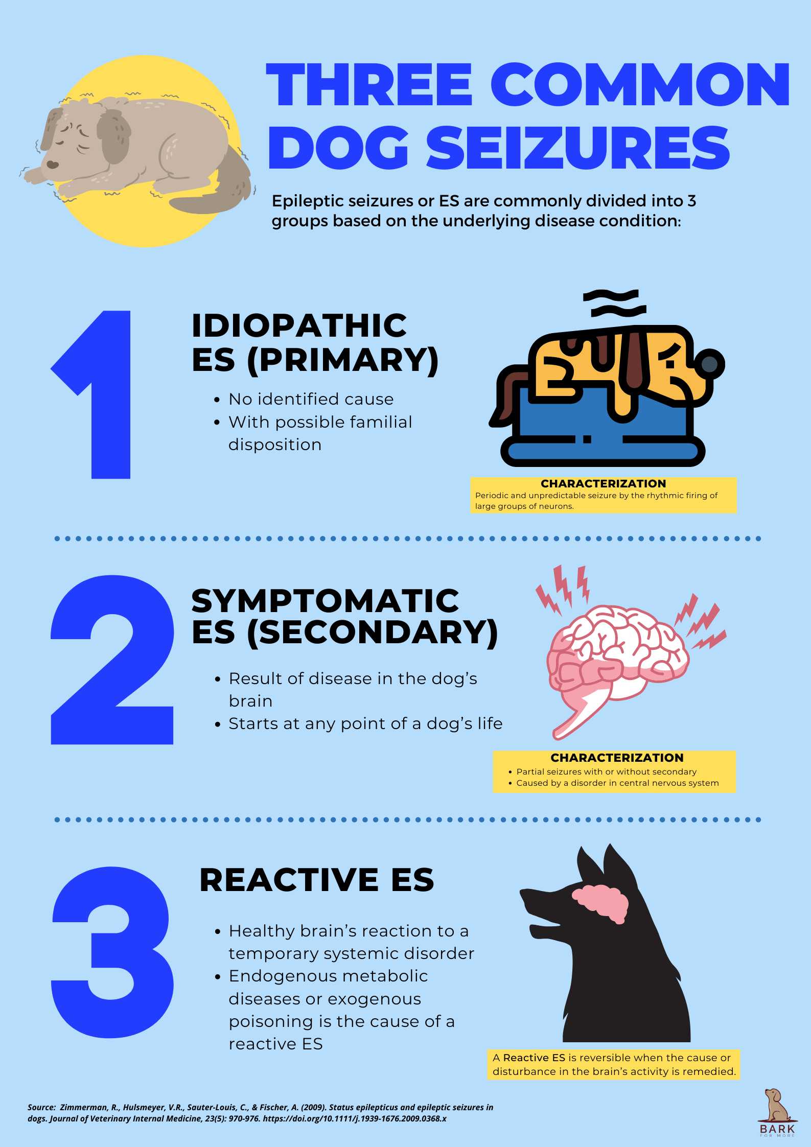 Three common dog seizures