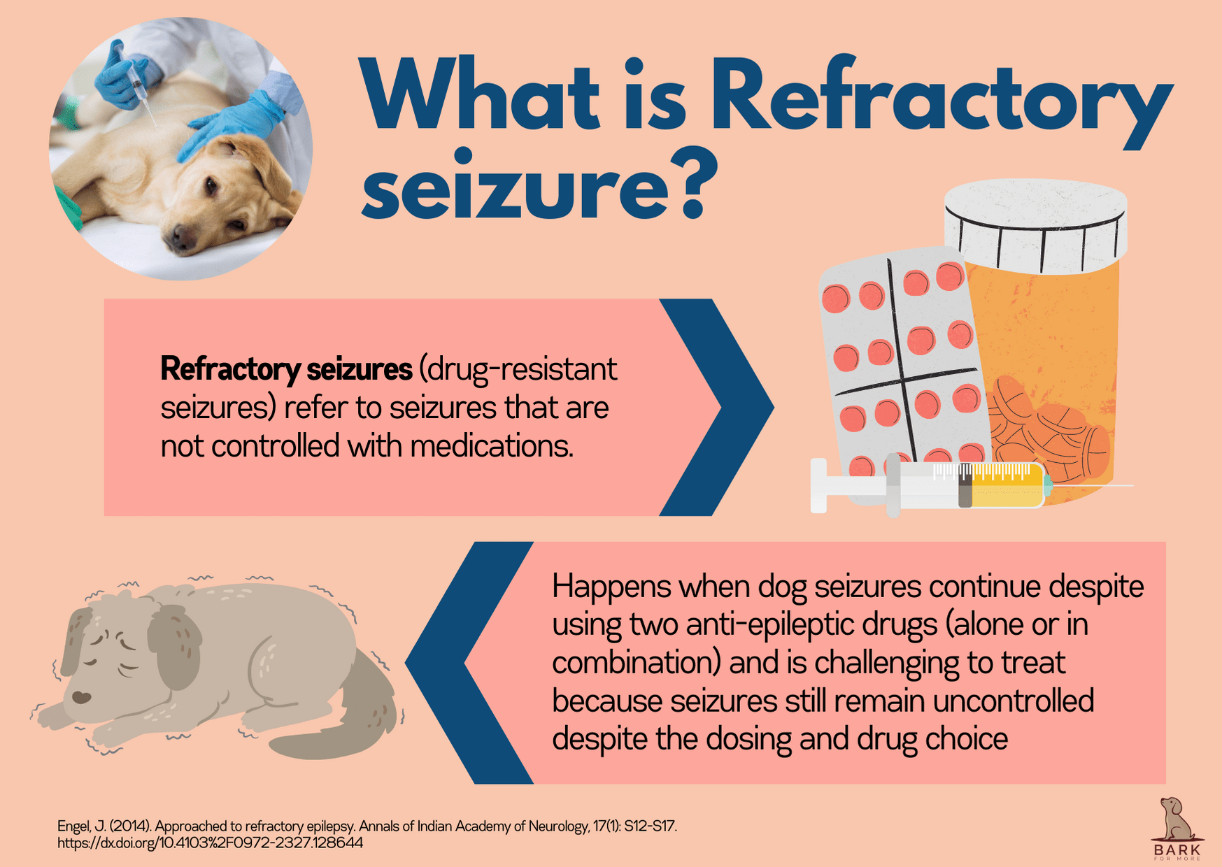 Refractory seizure