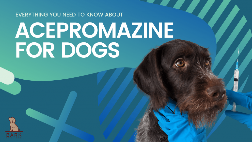Acepromazine for Dogs