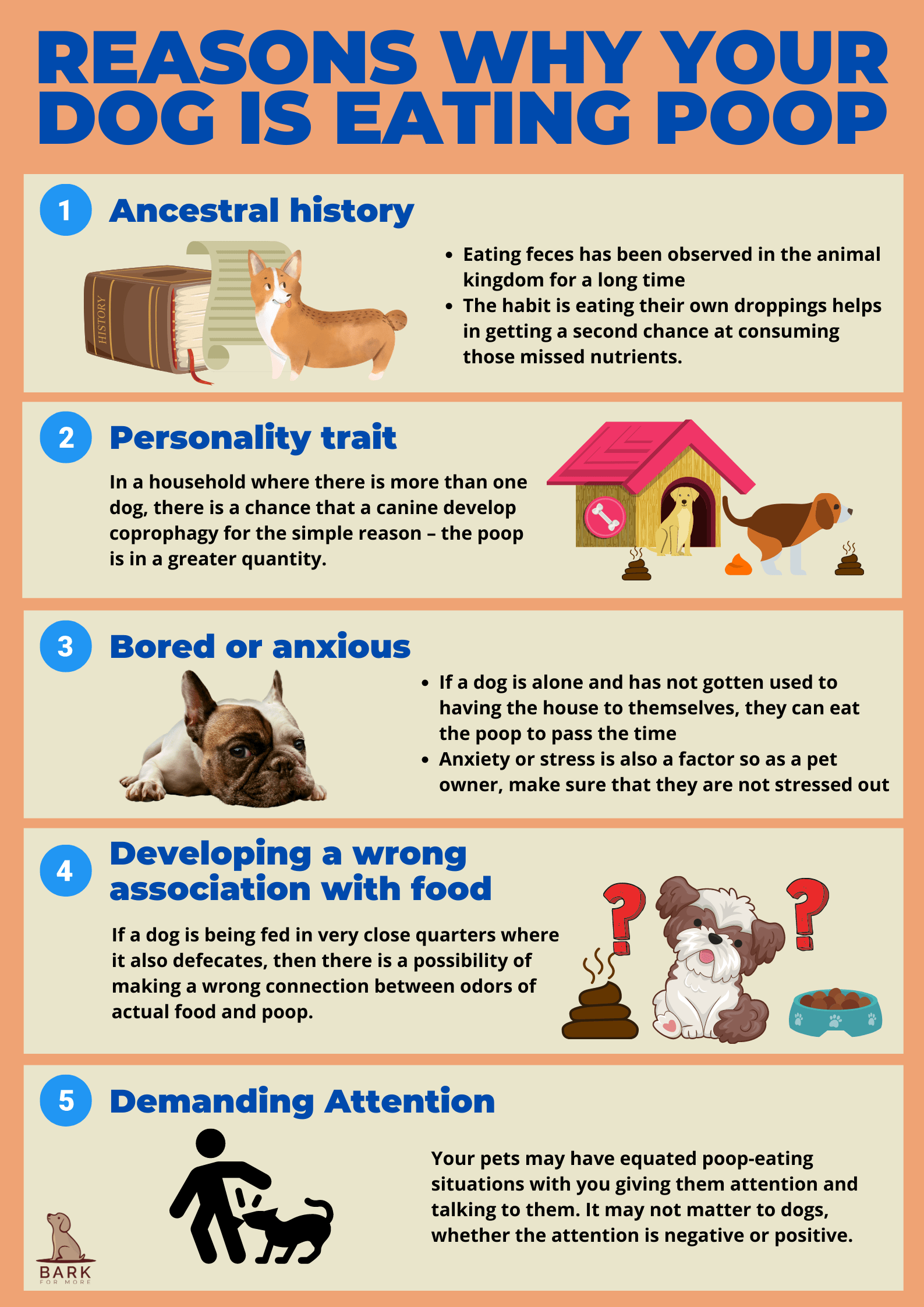Reasons why dogs eat poop