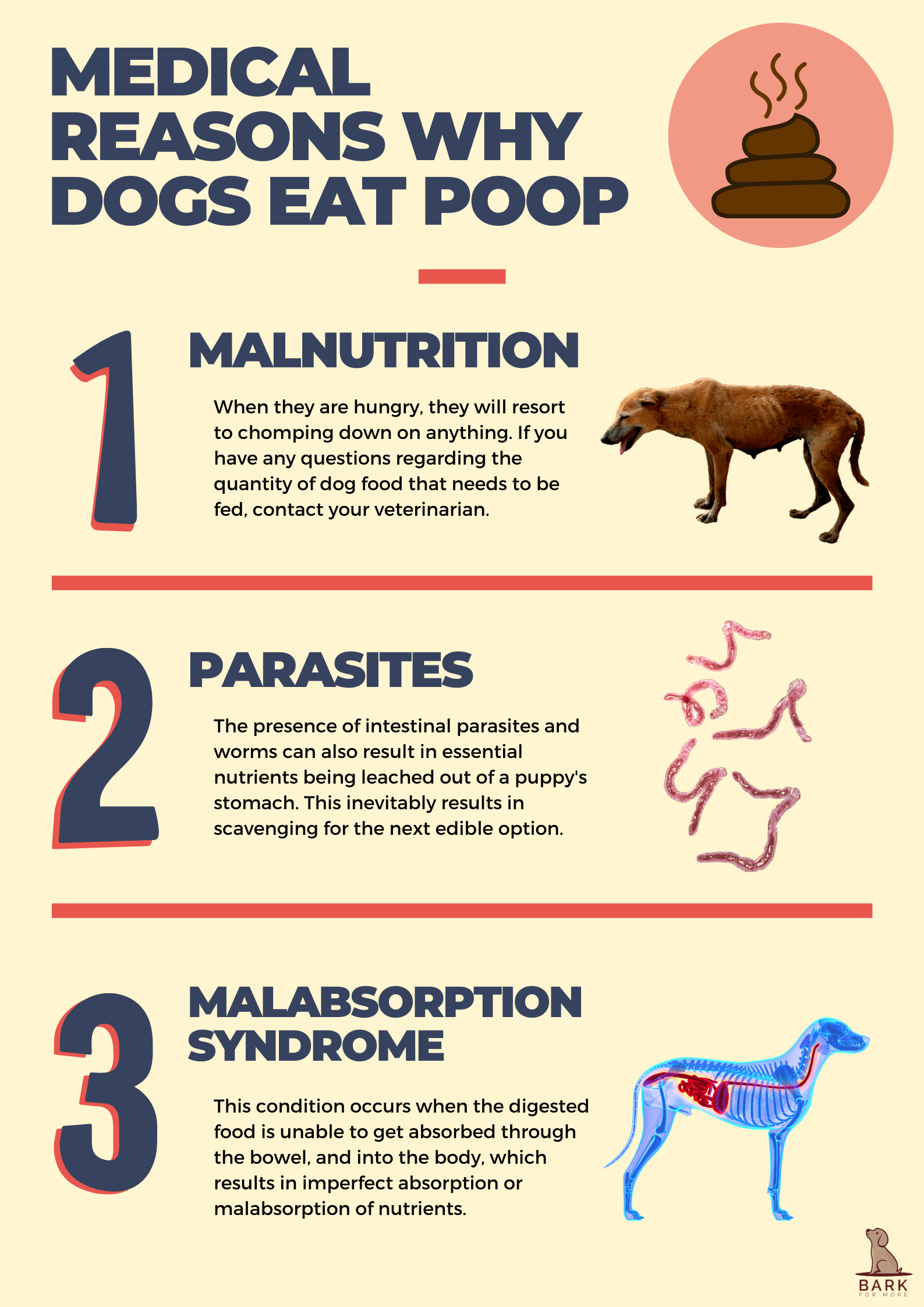 Medical reasons why dogs eat poop
