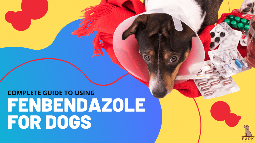Fenbendazole for Dogs