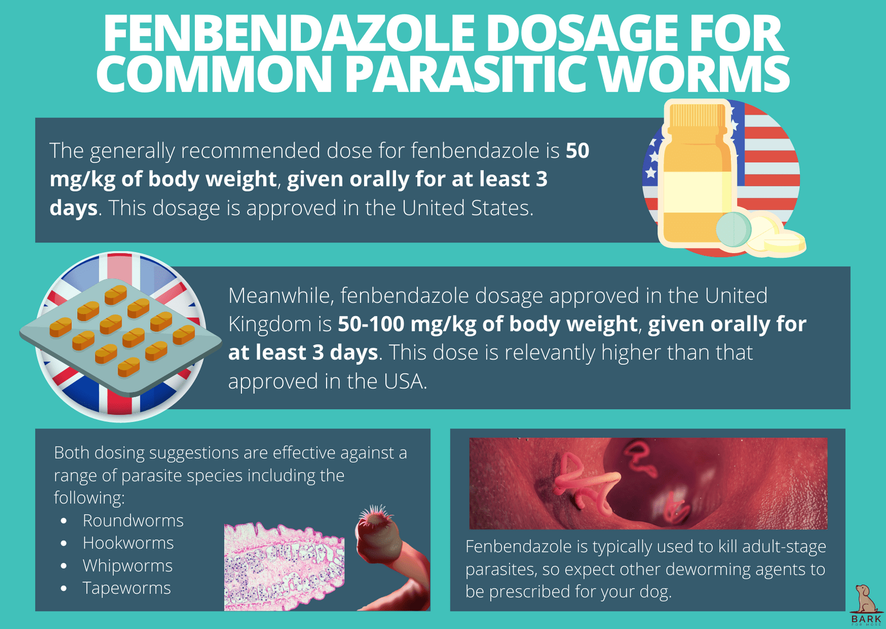 Fenbendazole Dosage Recommendations for Common Parasitic Worms