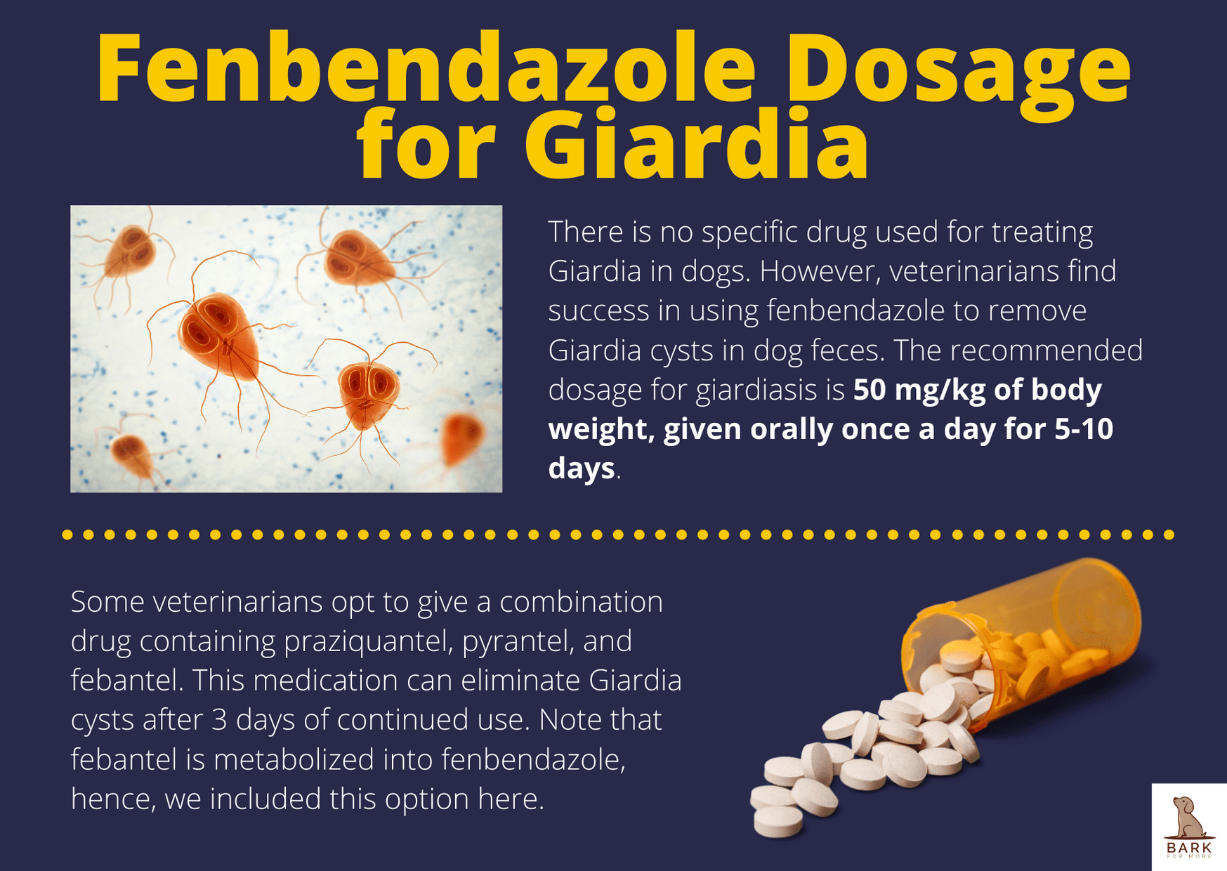 Fenbendazole Dosage for Giardia