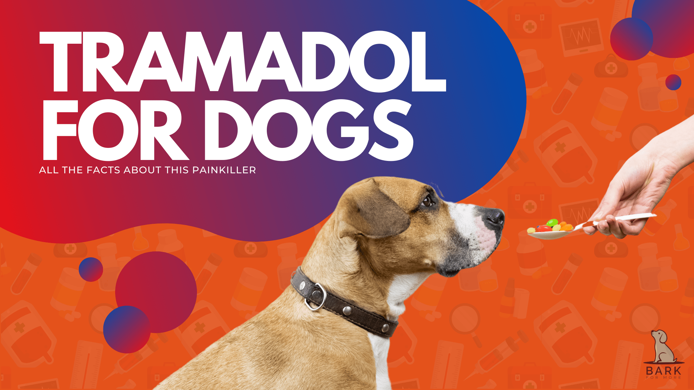 Tramadol for Dogs