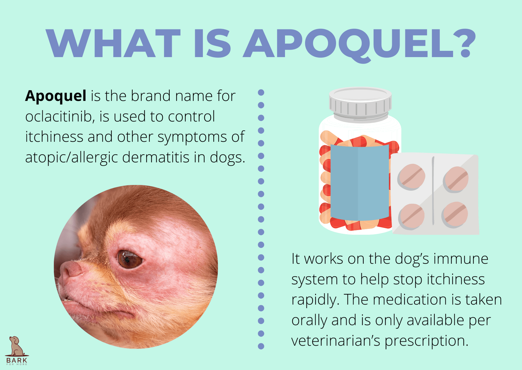 What is Apoquel