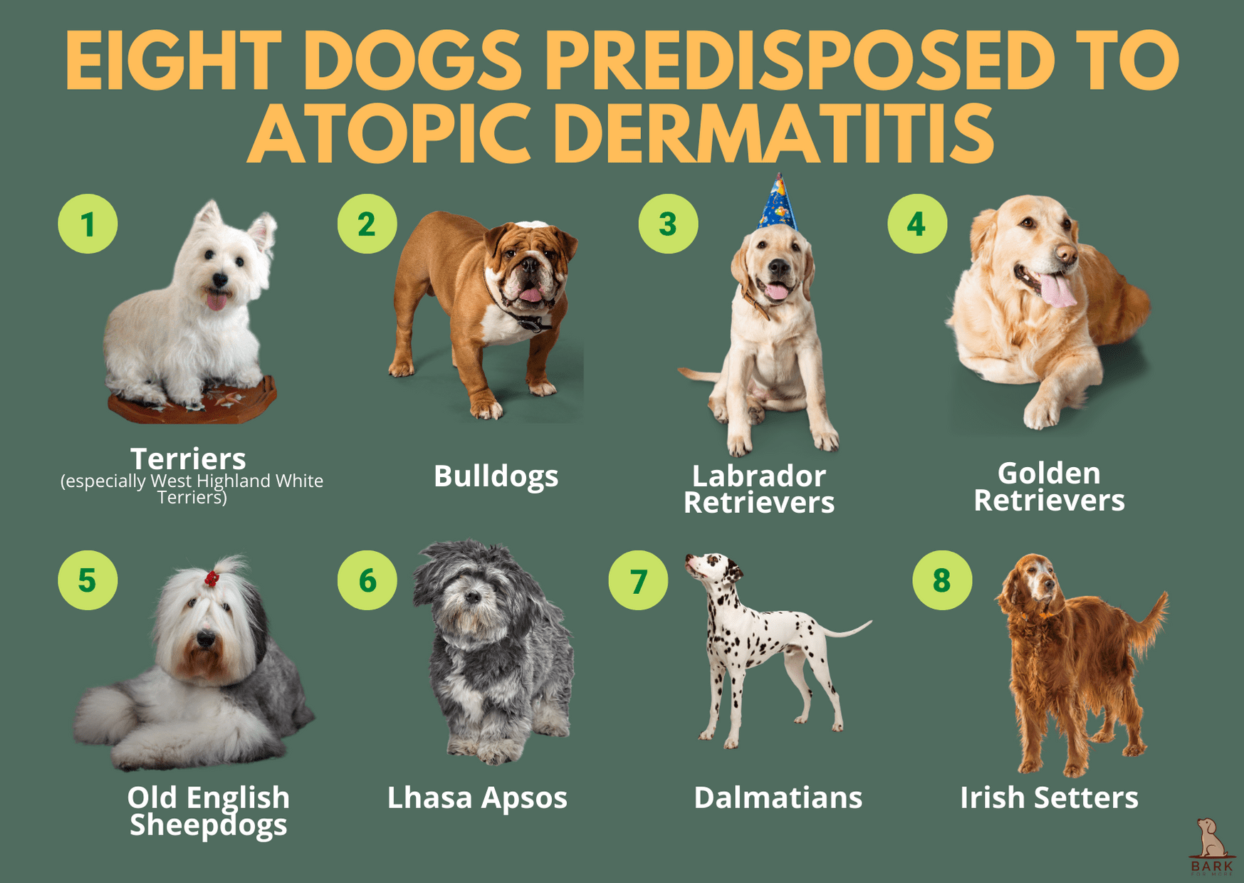 Dogs Predisposed to Atopic Dermatitis