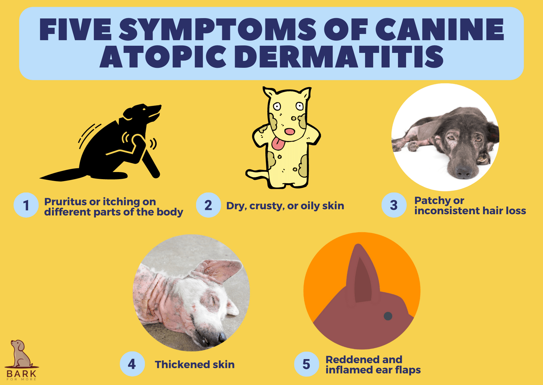 Symptoms of Canine Atopic Dermatitis