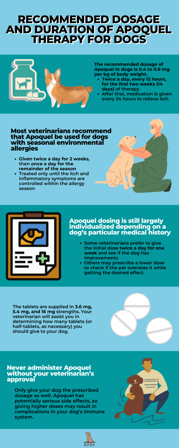 All The Facts About Apoquel For Dogs Soothing Your Pooch’s Itch With