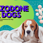 Trazodone for Dogs