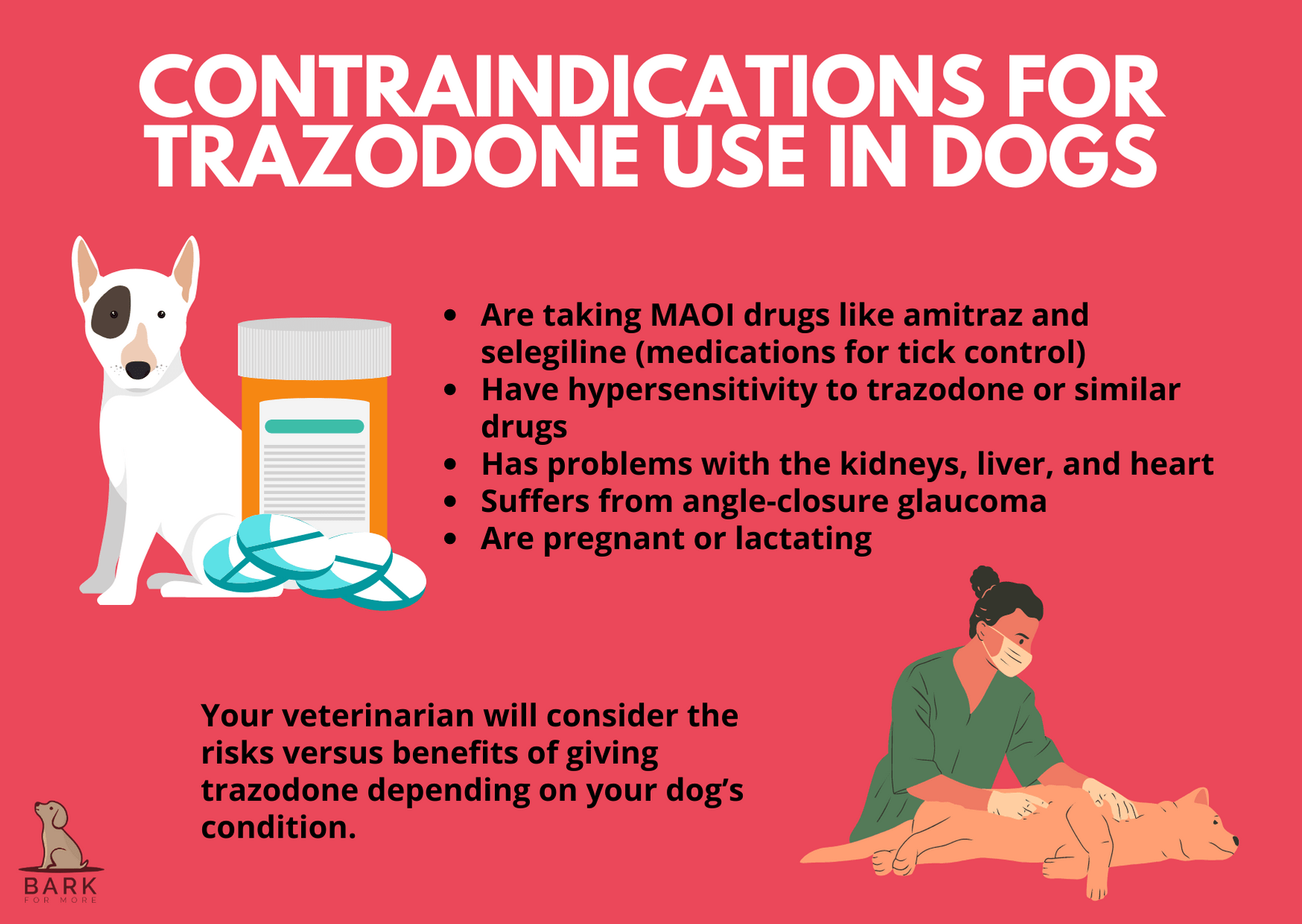Contraindications for Trazodone Use in Dogs