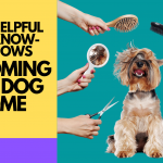 Grooming your dogs