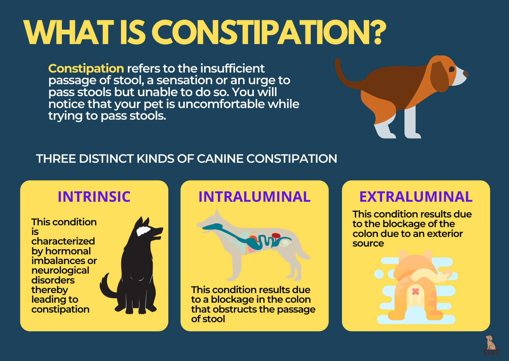 What is constipation?