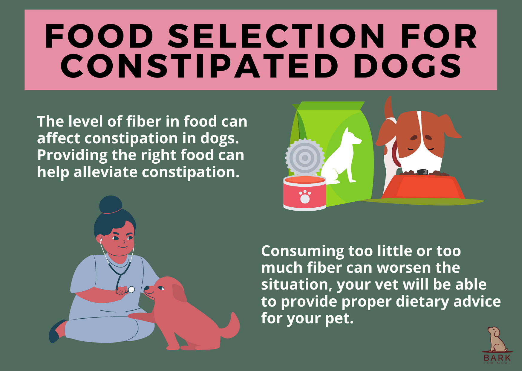 Food selection for constipated dogs