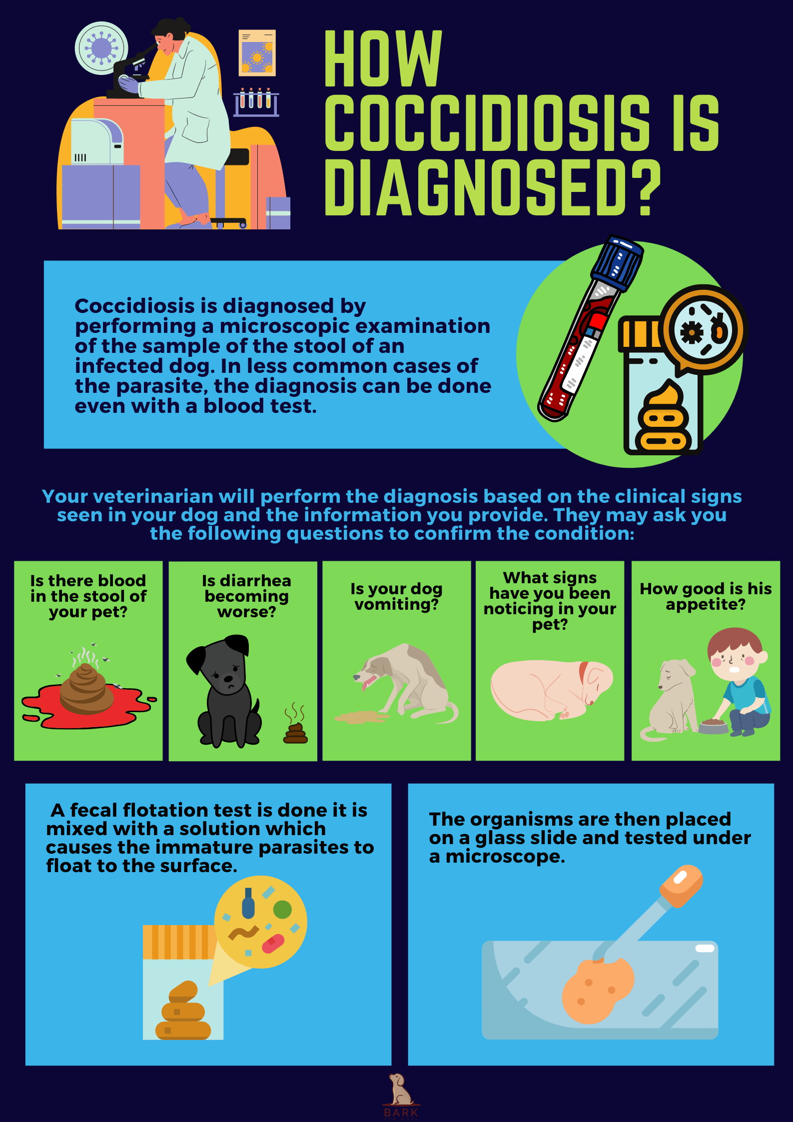 How coccidiosis is diagnosed