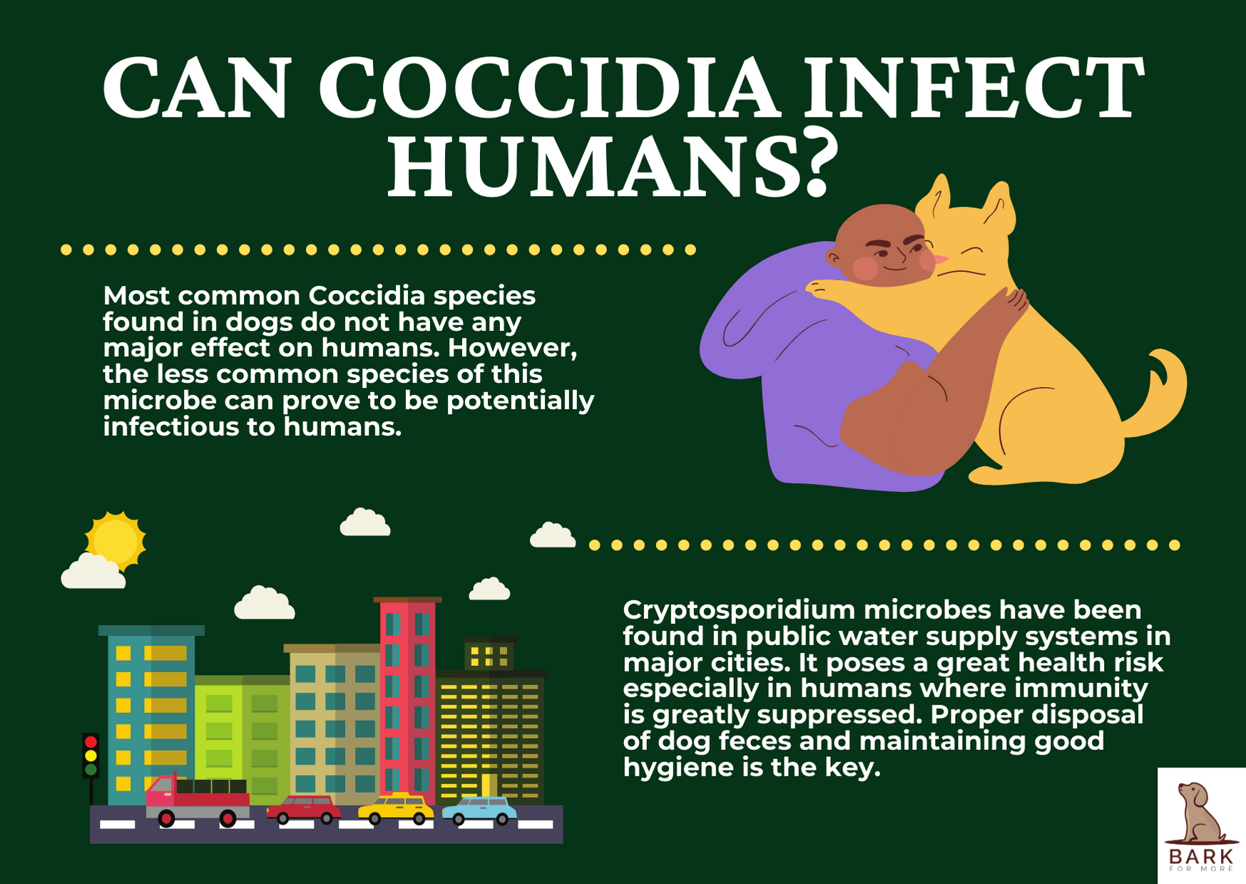 Can Coccidia infect humans