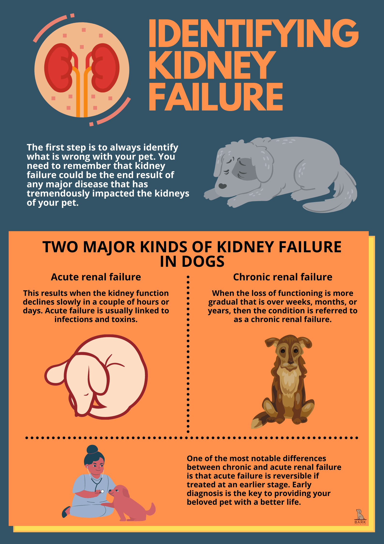 Identifying kidney failure