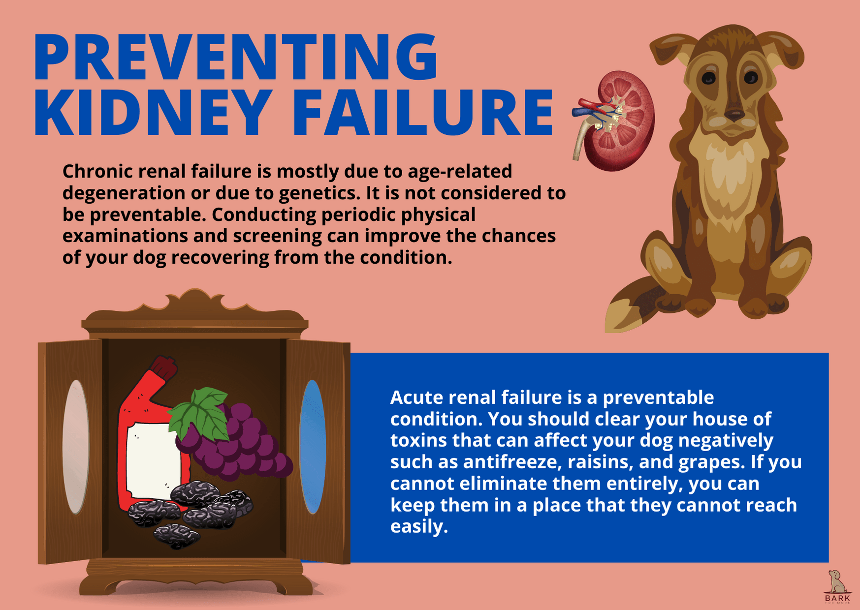 Preventing kidney failure