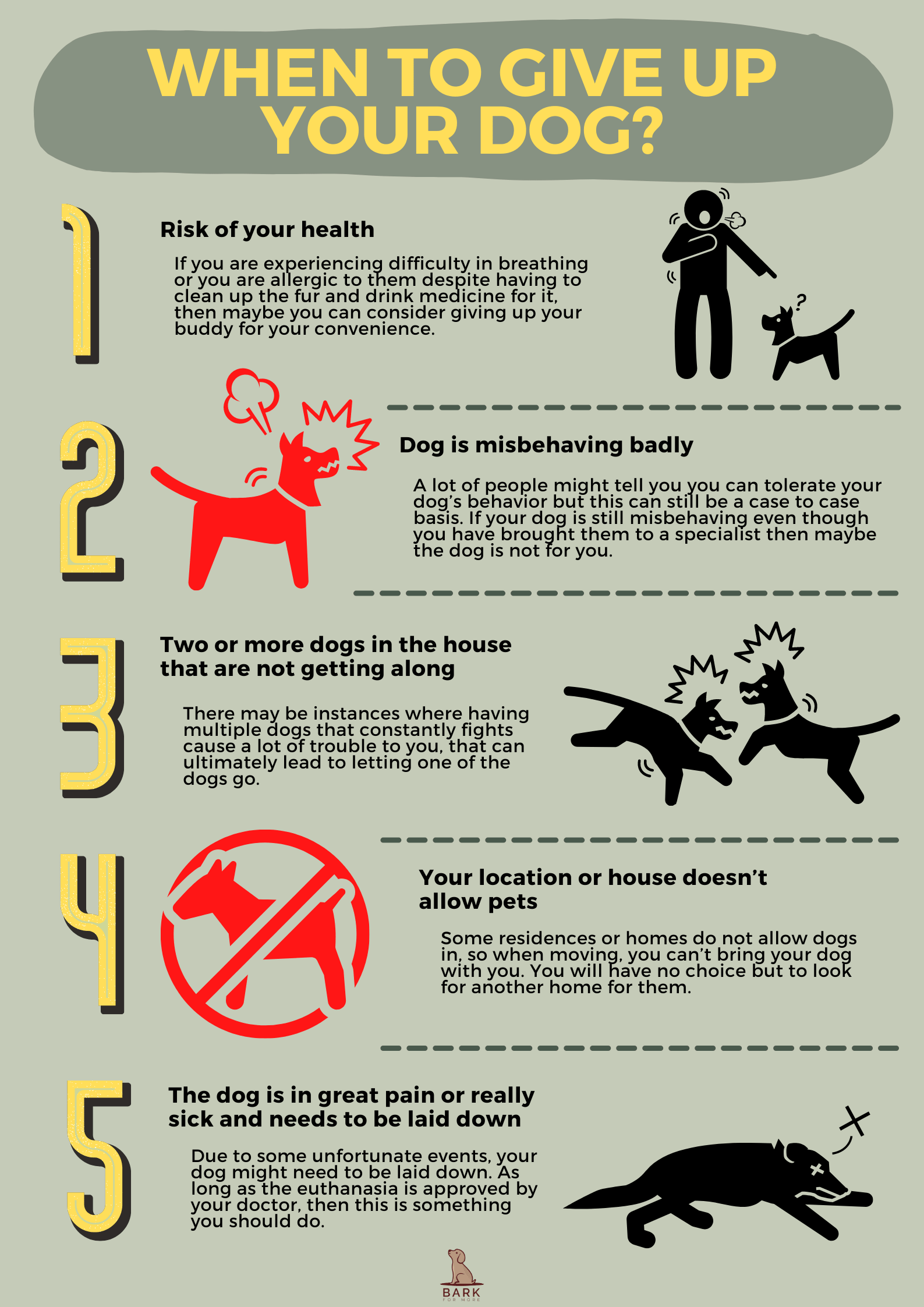 Reasons for giving your dog up