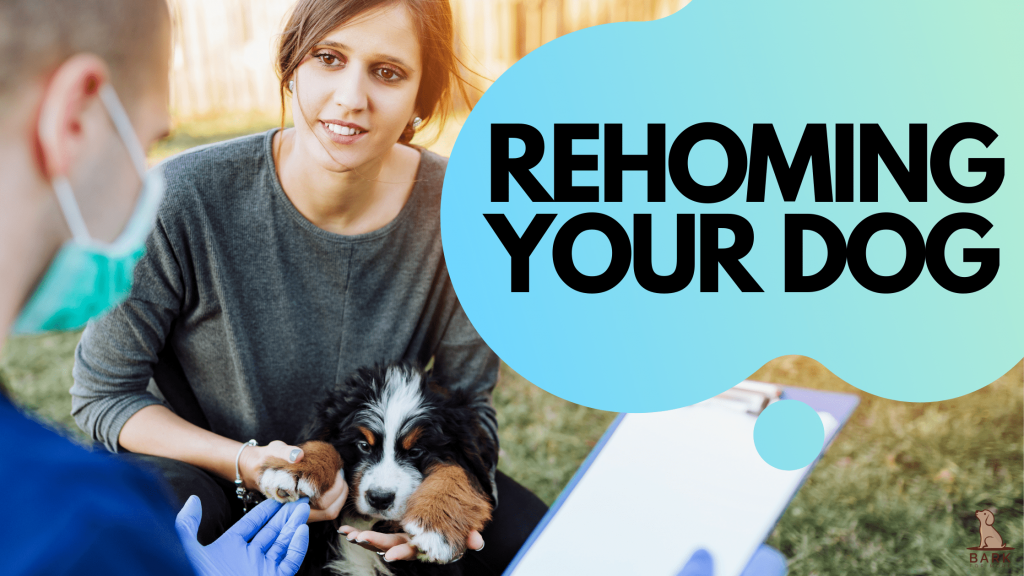 Rehoming your dog